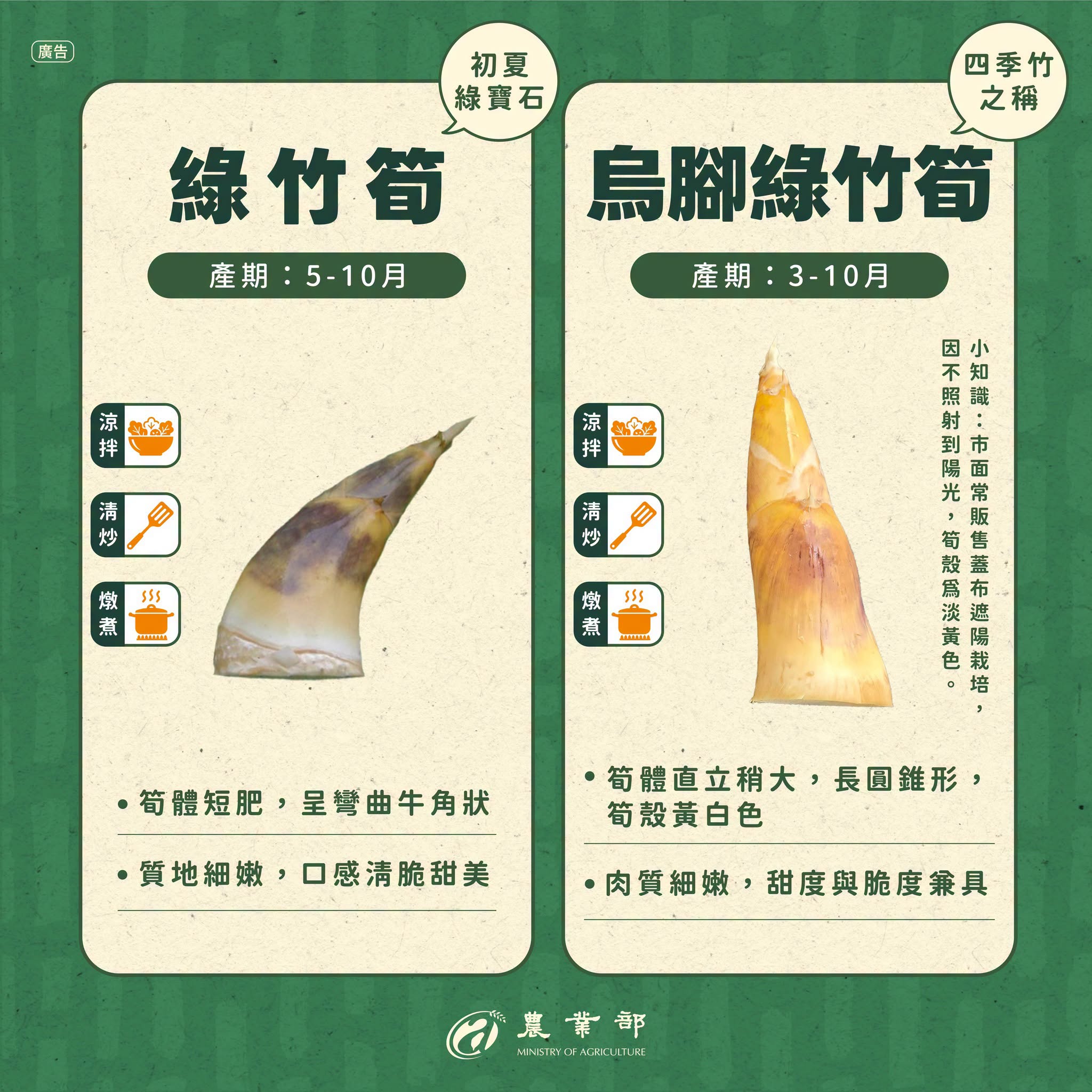 夏天就是吃竹筍的季節！同樣都是竹筍，差別其實很大！02