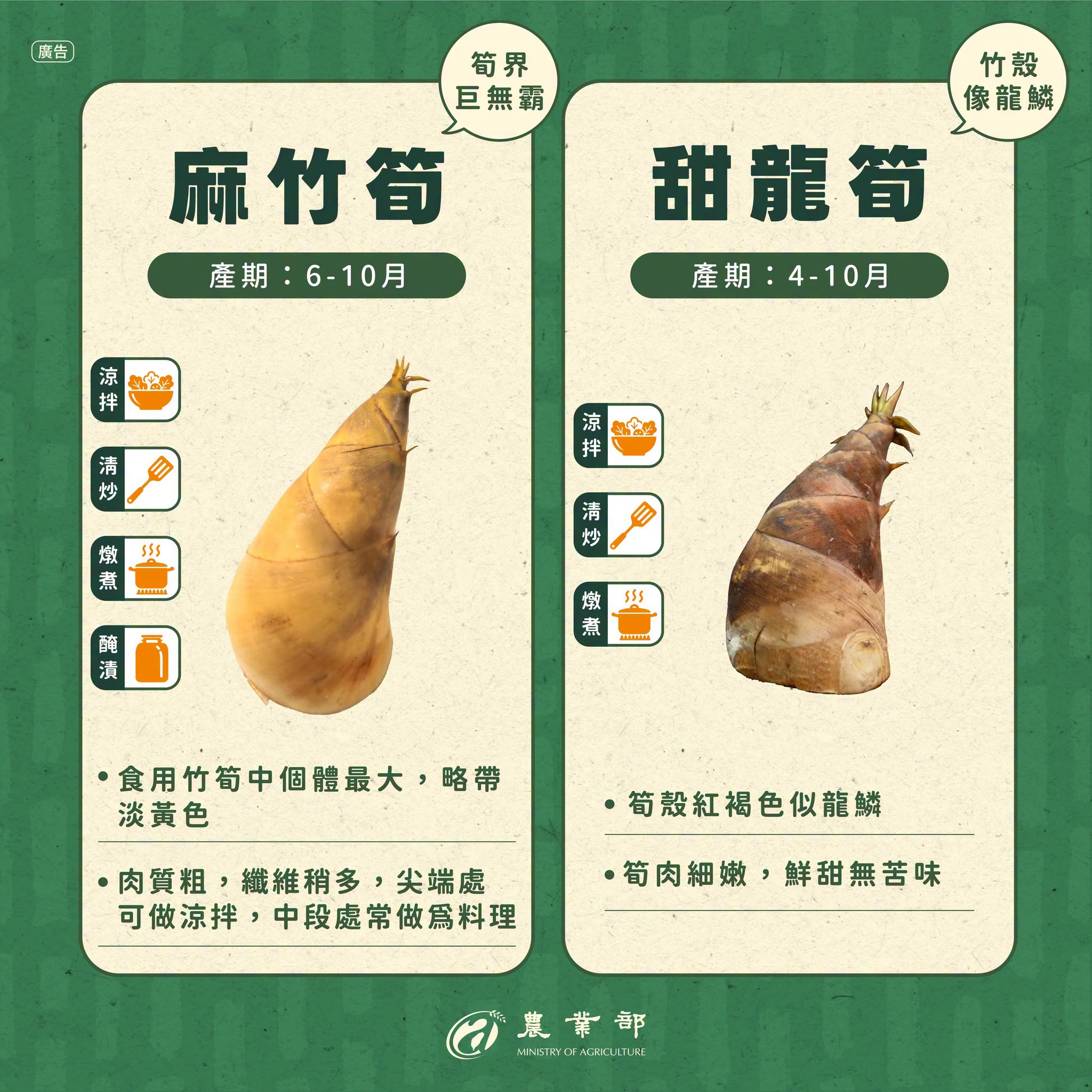 夏天就是吃竹筍的季節！同樣都是竹筍，差別其實很大！03