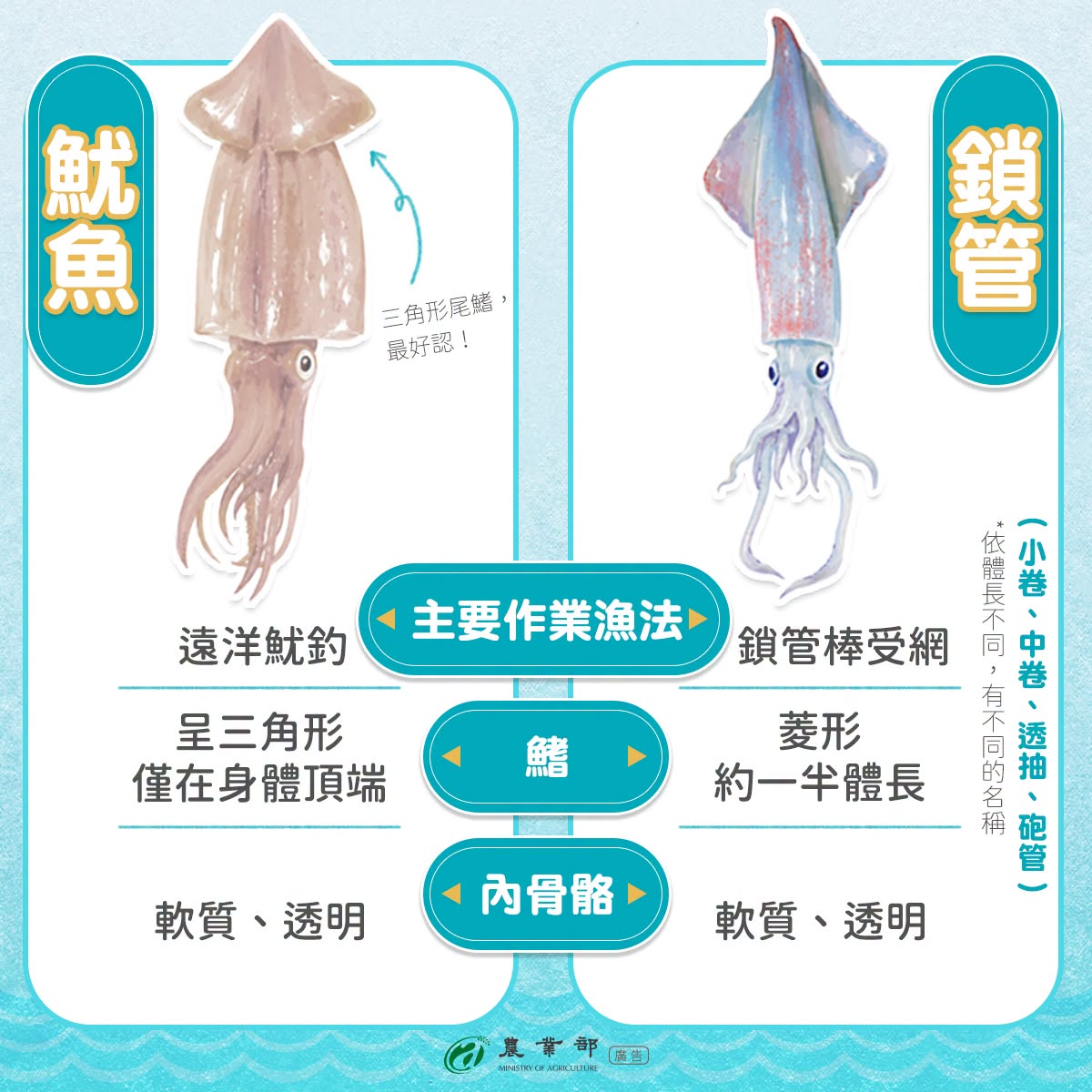 花枝亂站2