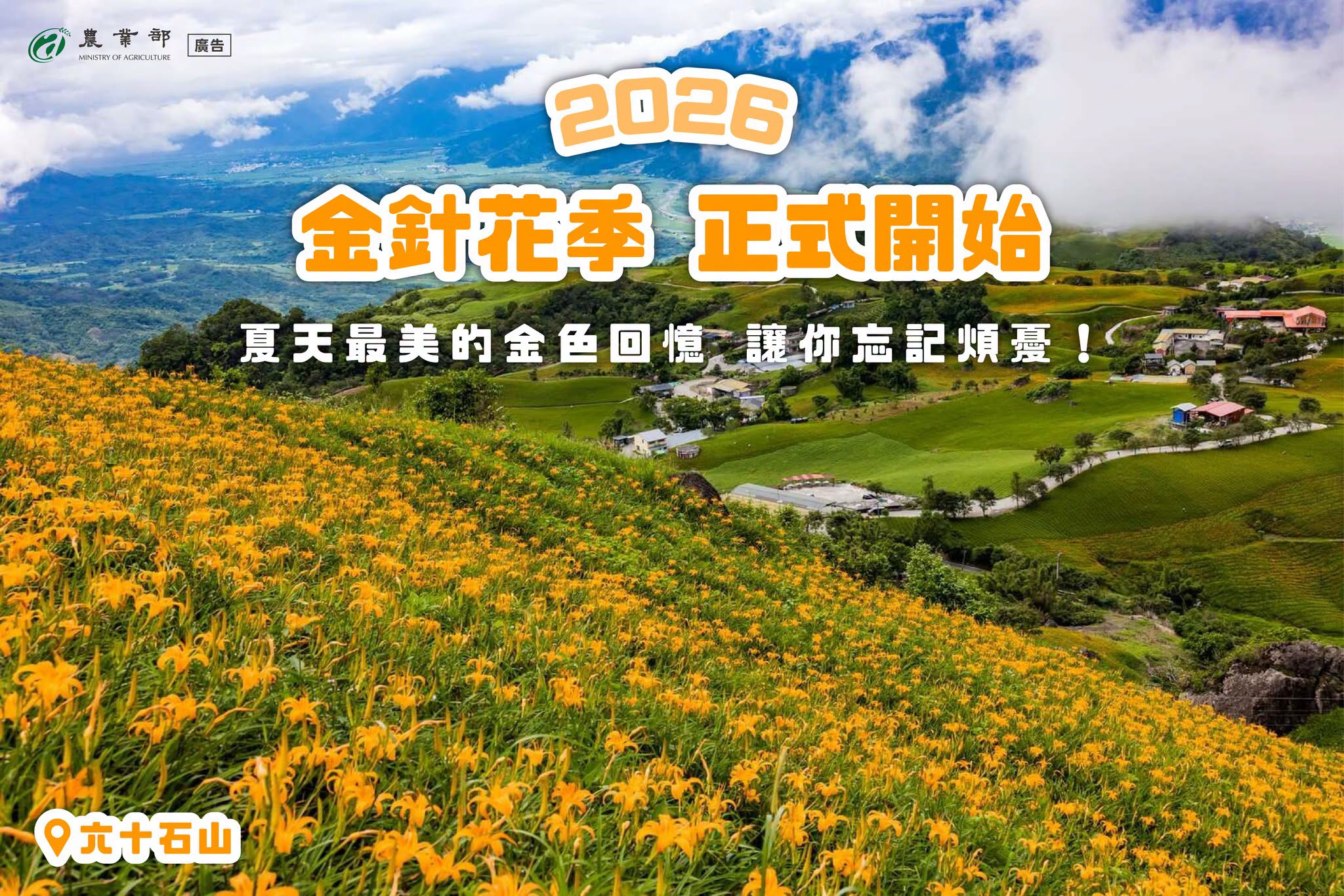 2026金針花季