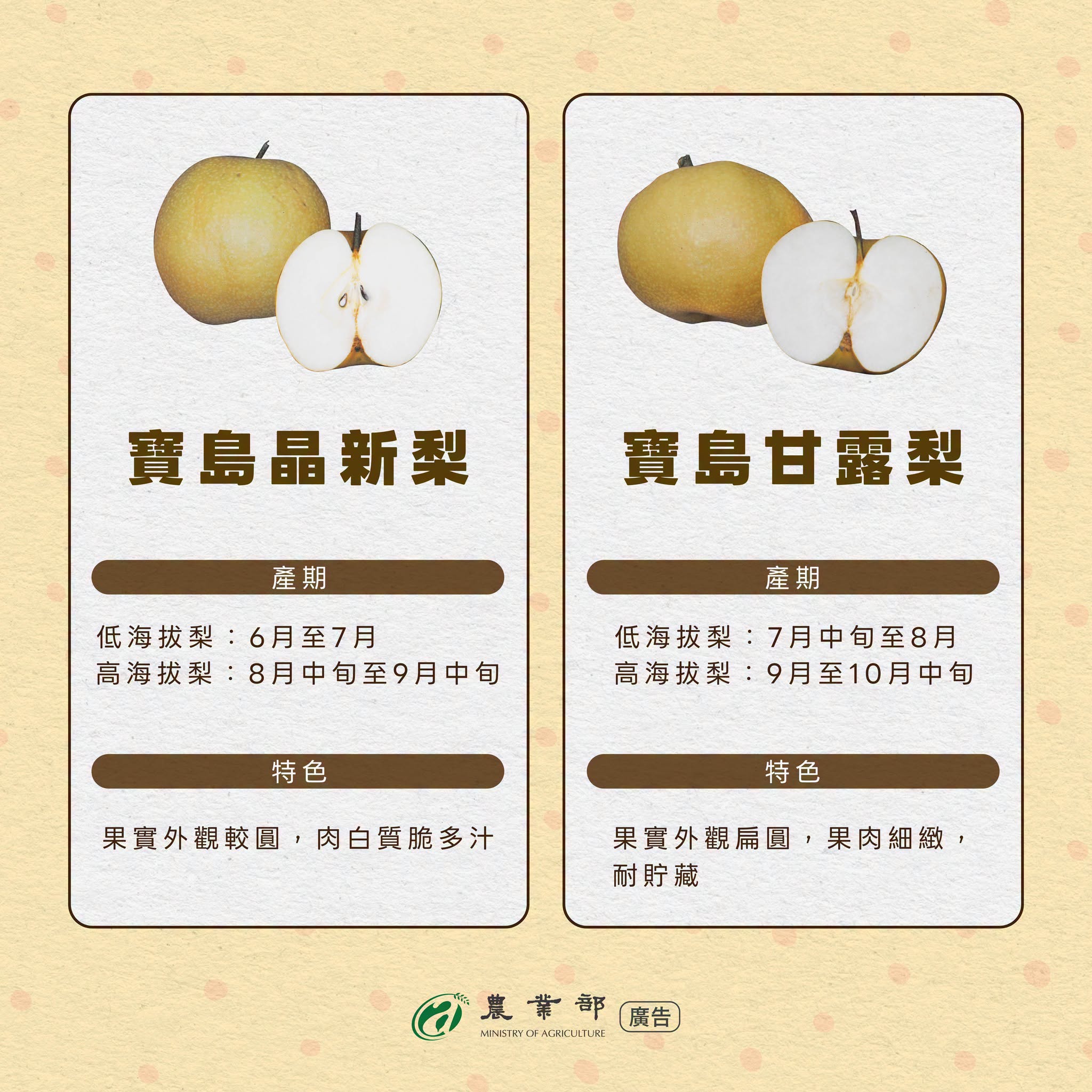 好梨挑選指南4