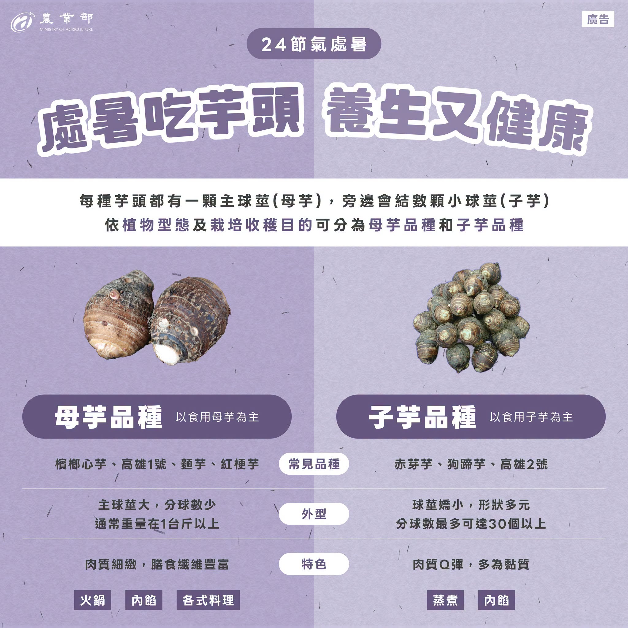 處暑吃芋頭養生又健康