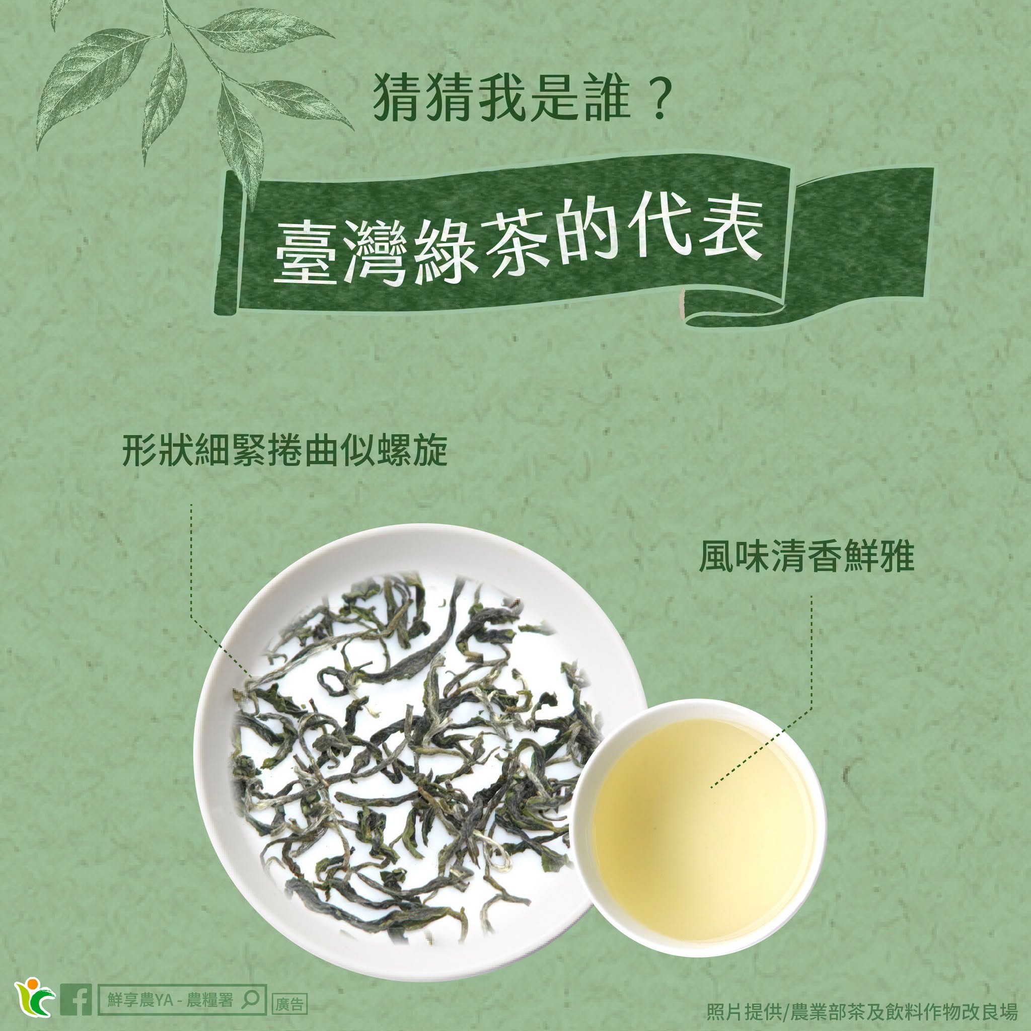 臺灣綠茶代表