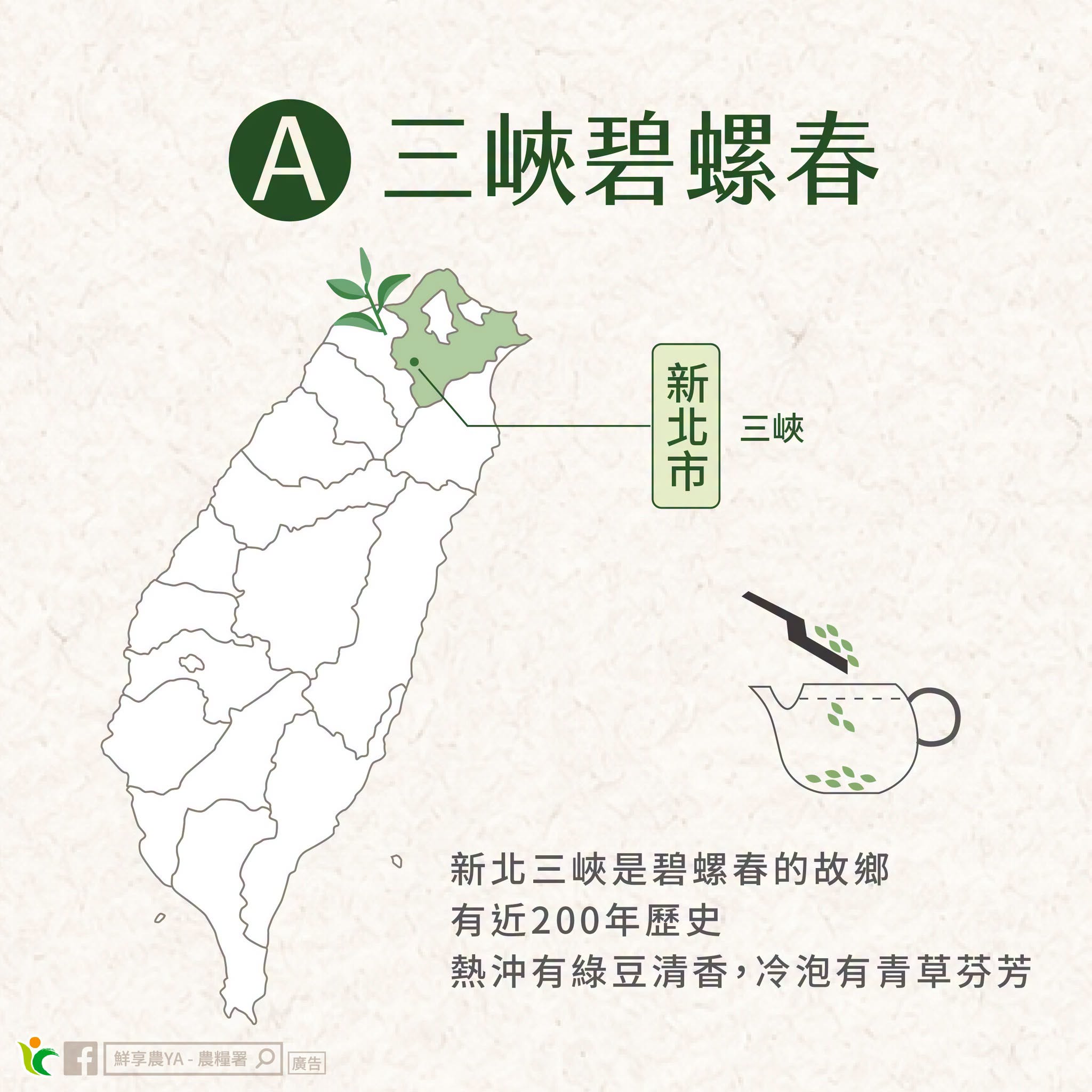 三峽碧螺春