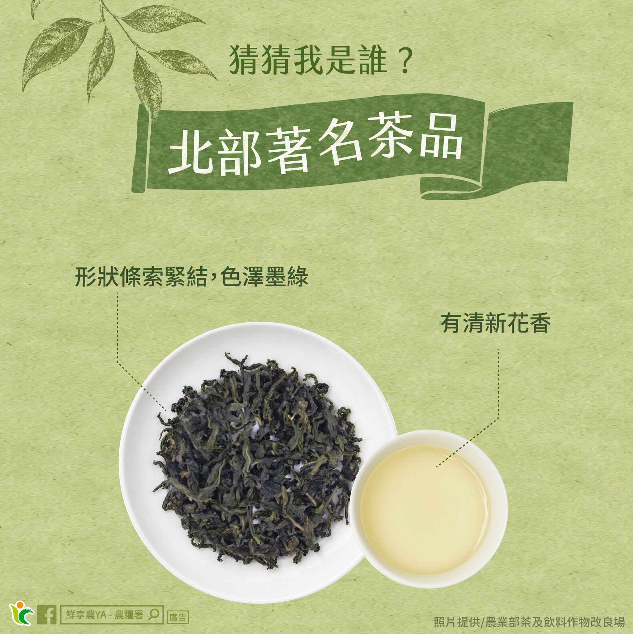 北部著名茶品