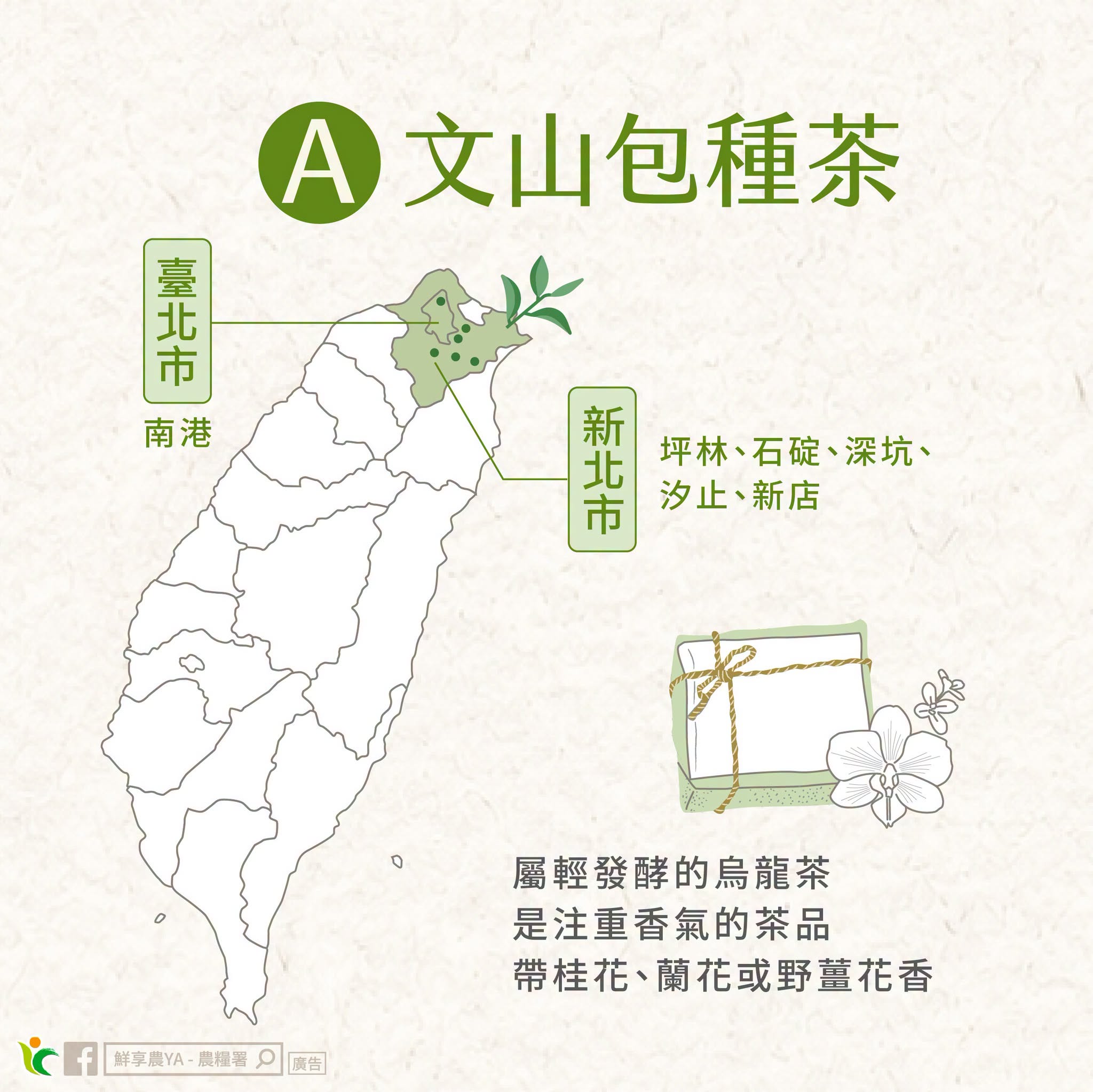 文山包種茶