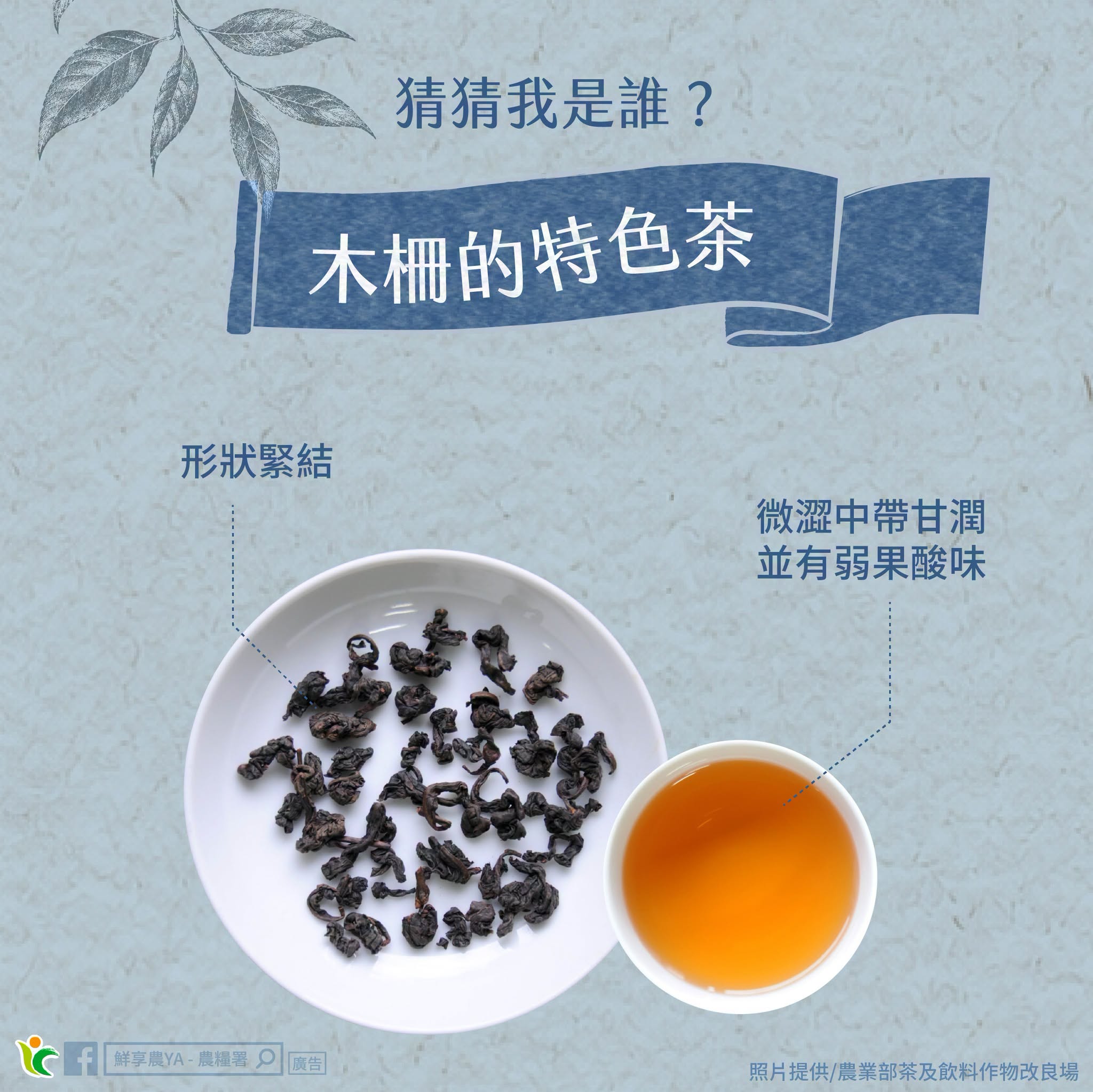 木柵的特色茶