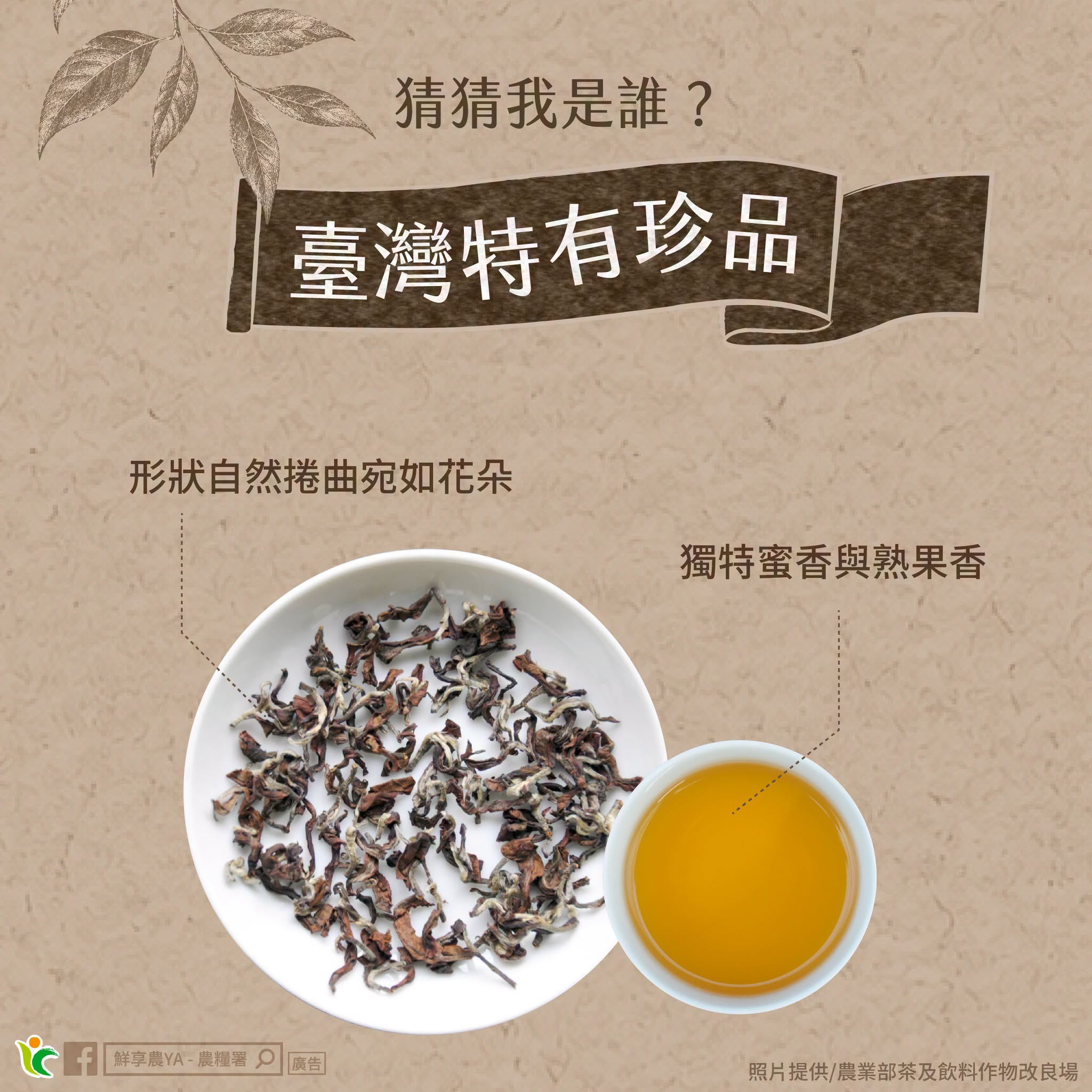 臺灣特有珍品