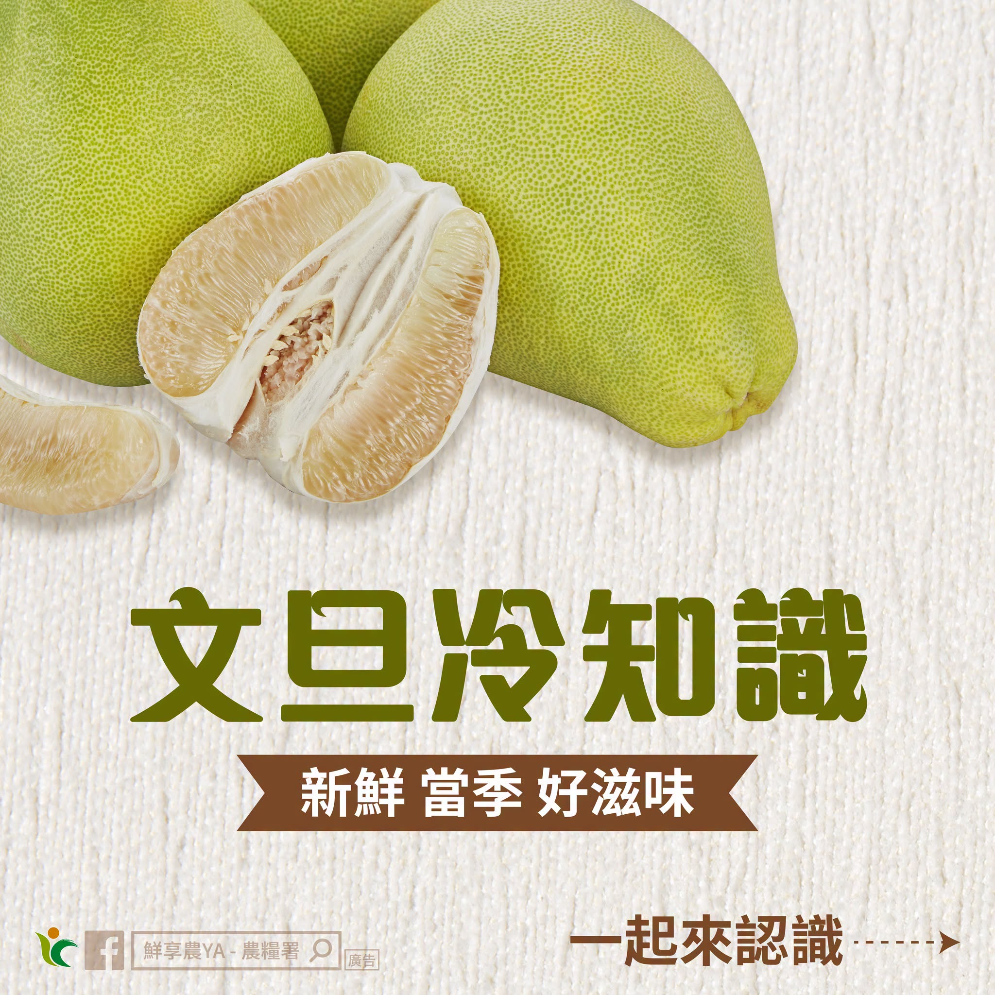 文旦冷知識