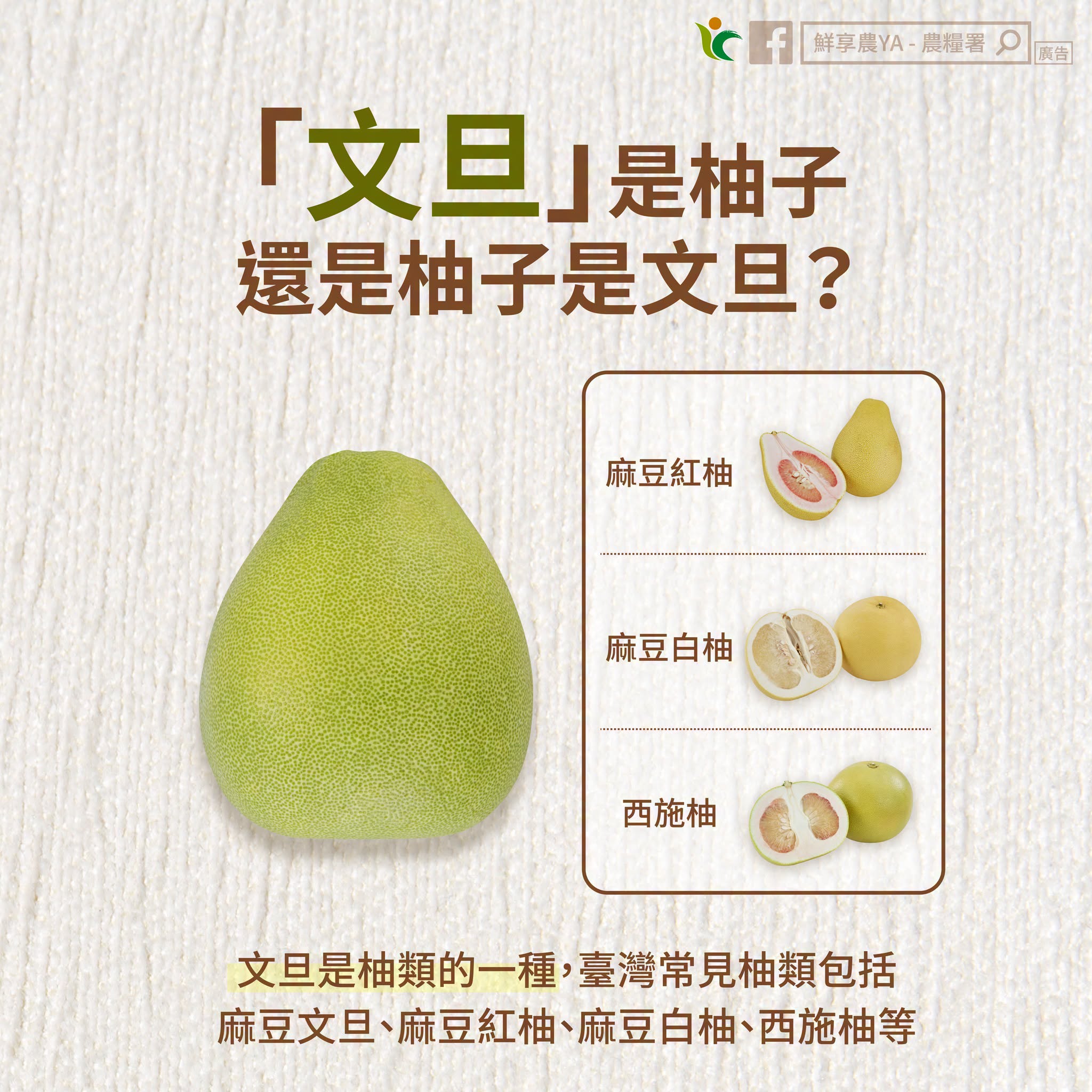文旦是柚子，還是柚子是文旦