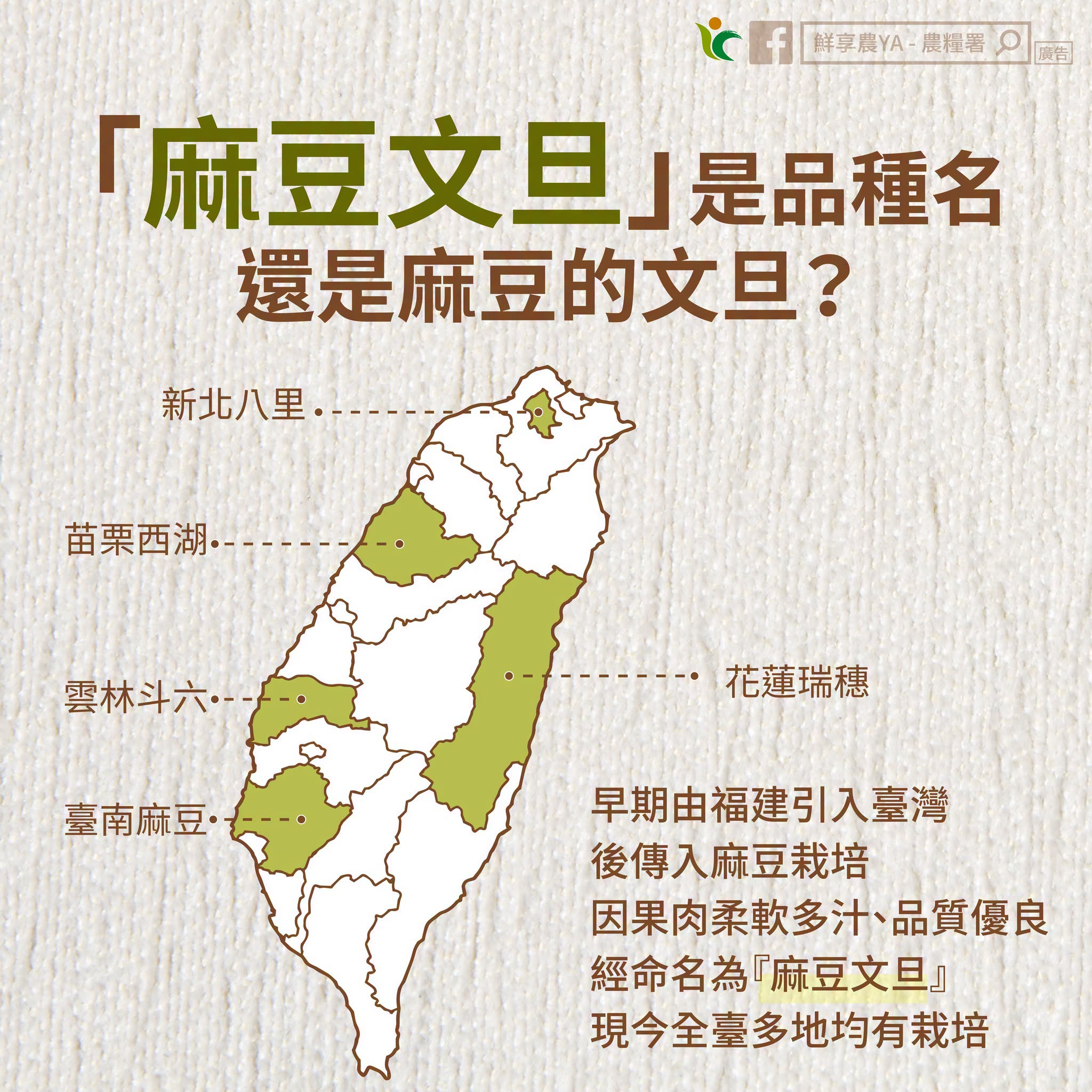 麻豆文旦是品種名，還是麻豆的文旦？