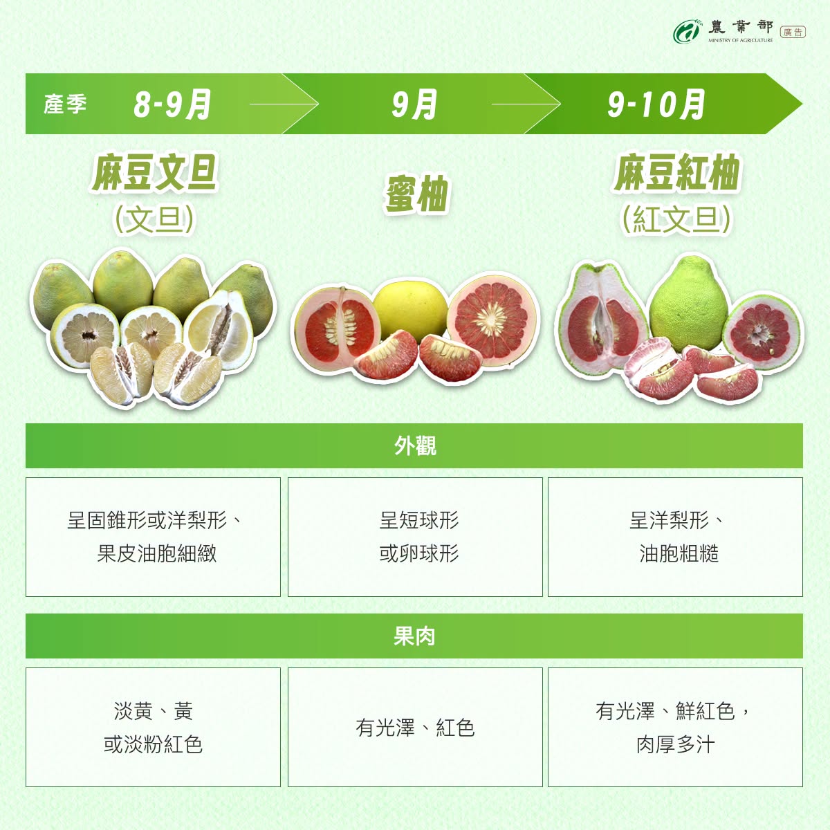 柚類產季開跑2