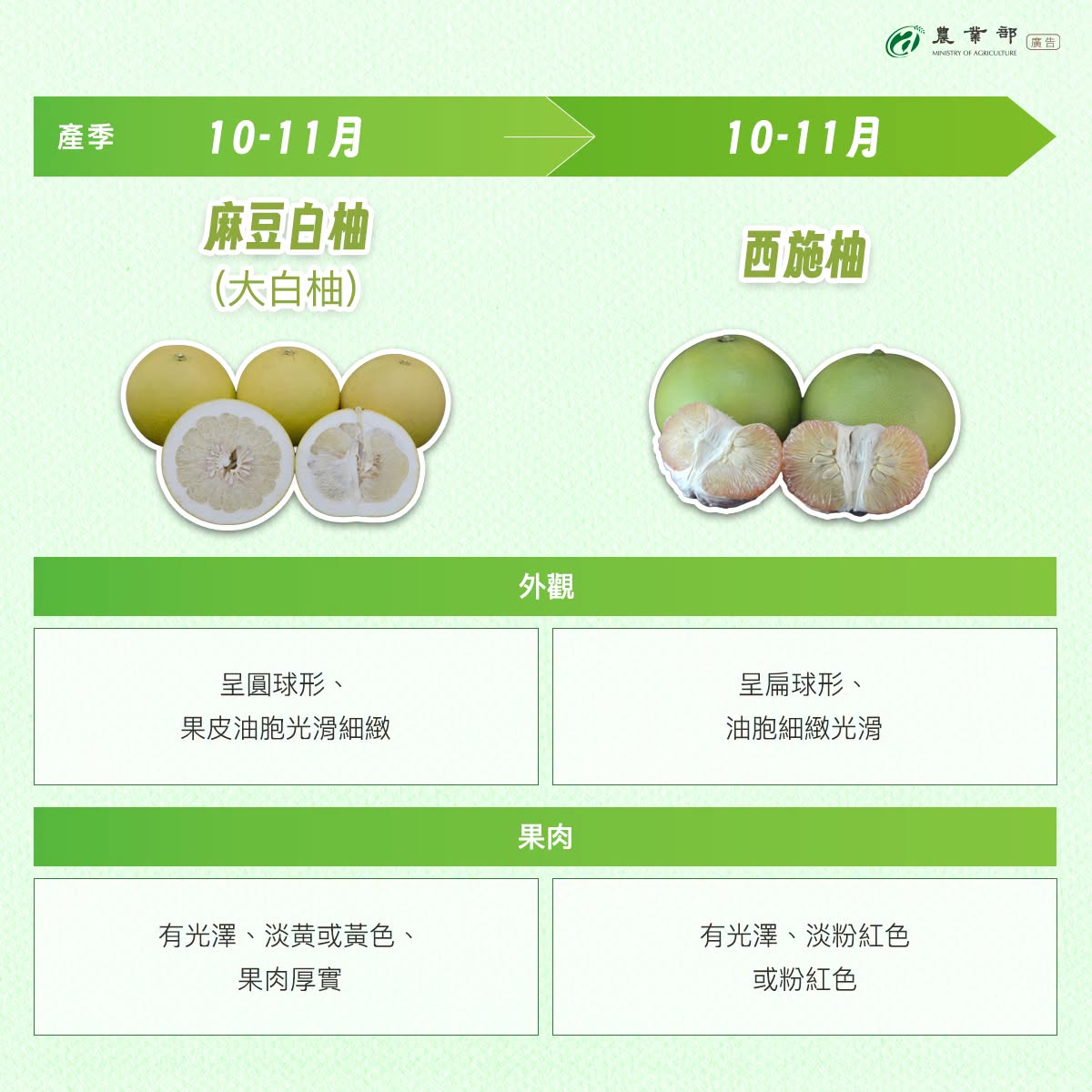 柚類產季開跑3