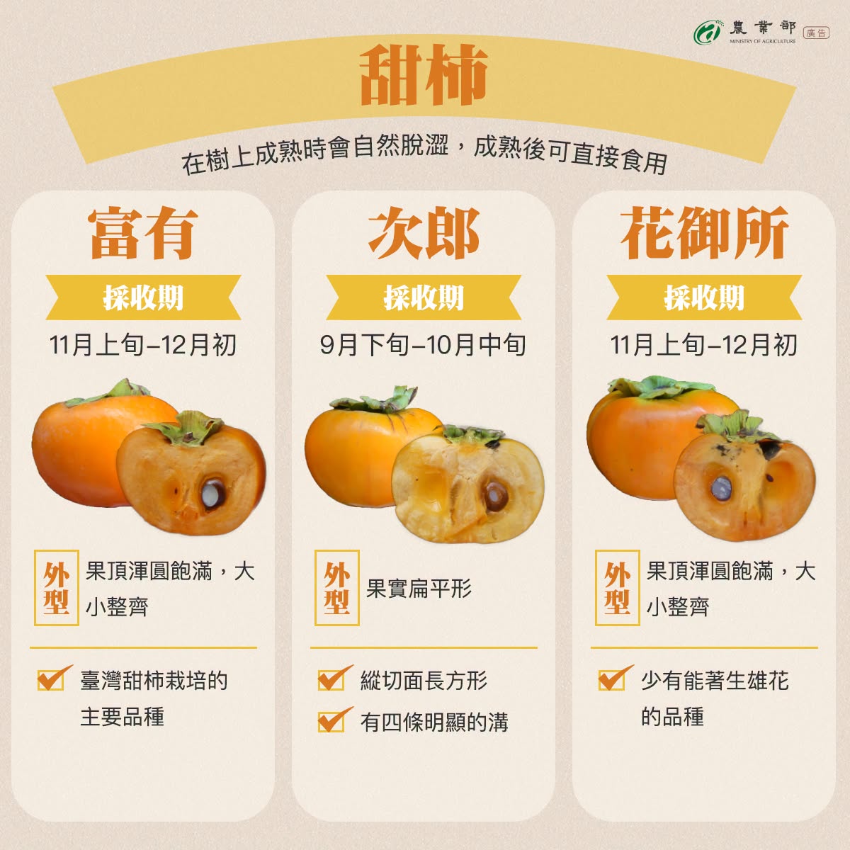 柿子家族圖鑑2