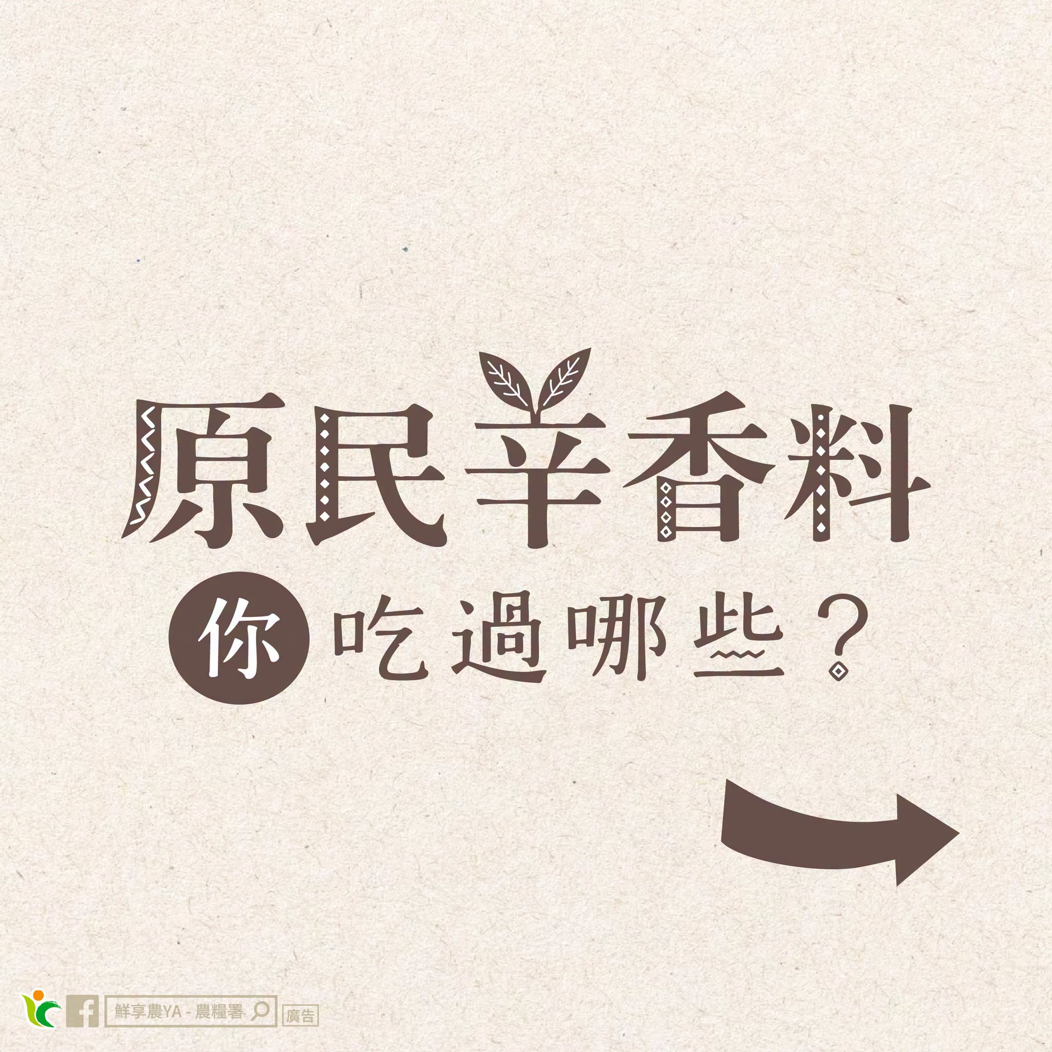 原民辛香料 你吃過哪些？
