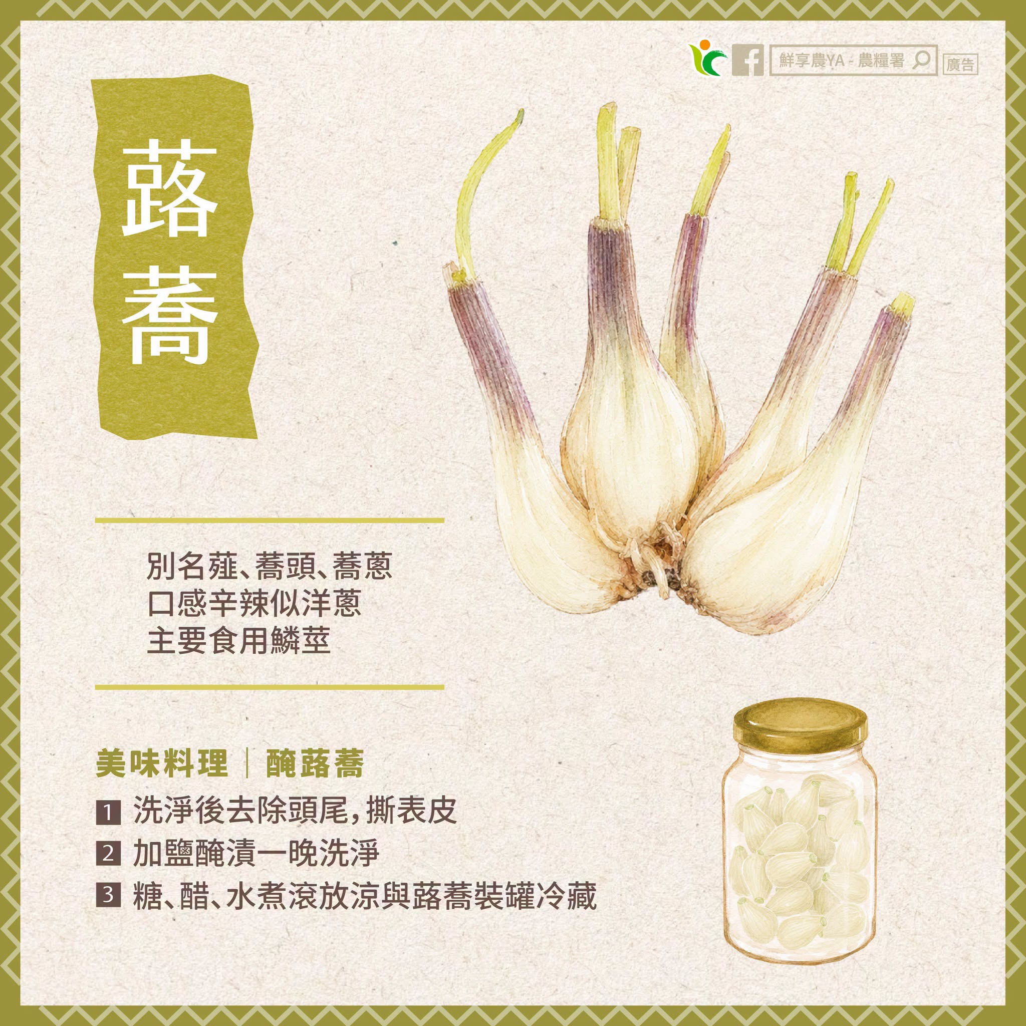 蕗蕎