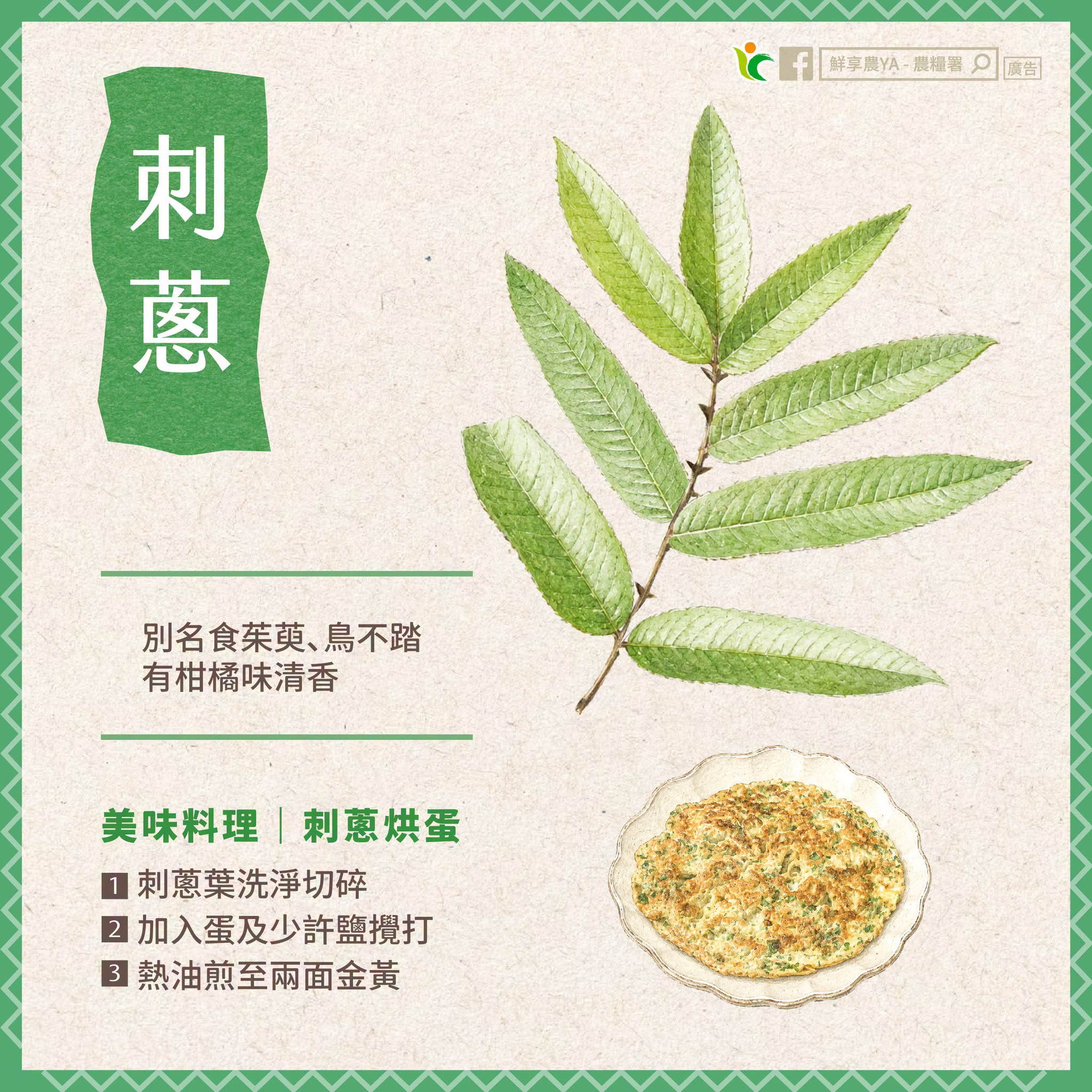 刺蔥