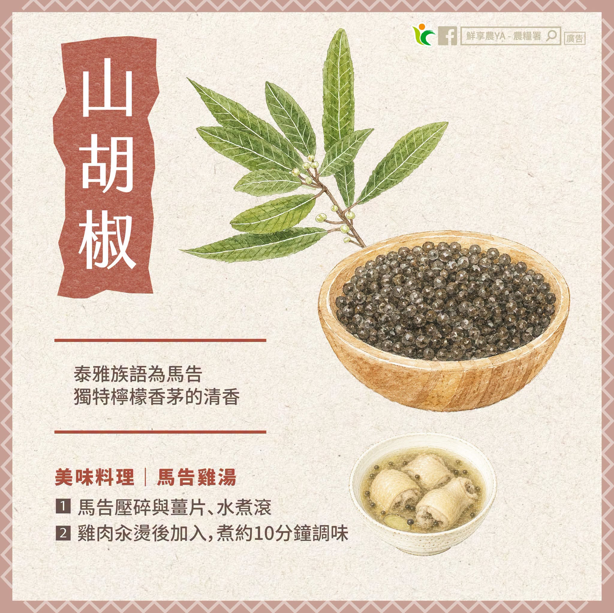 山胡椒