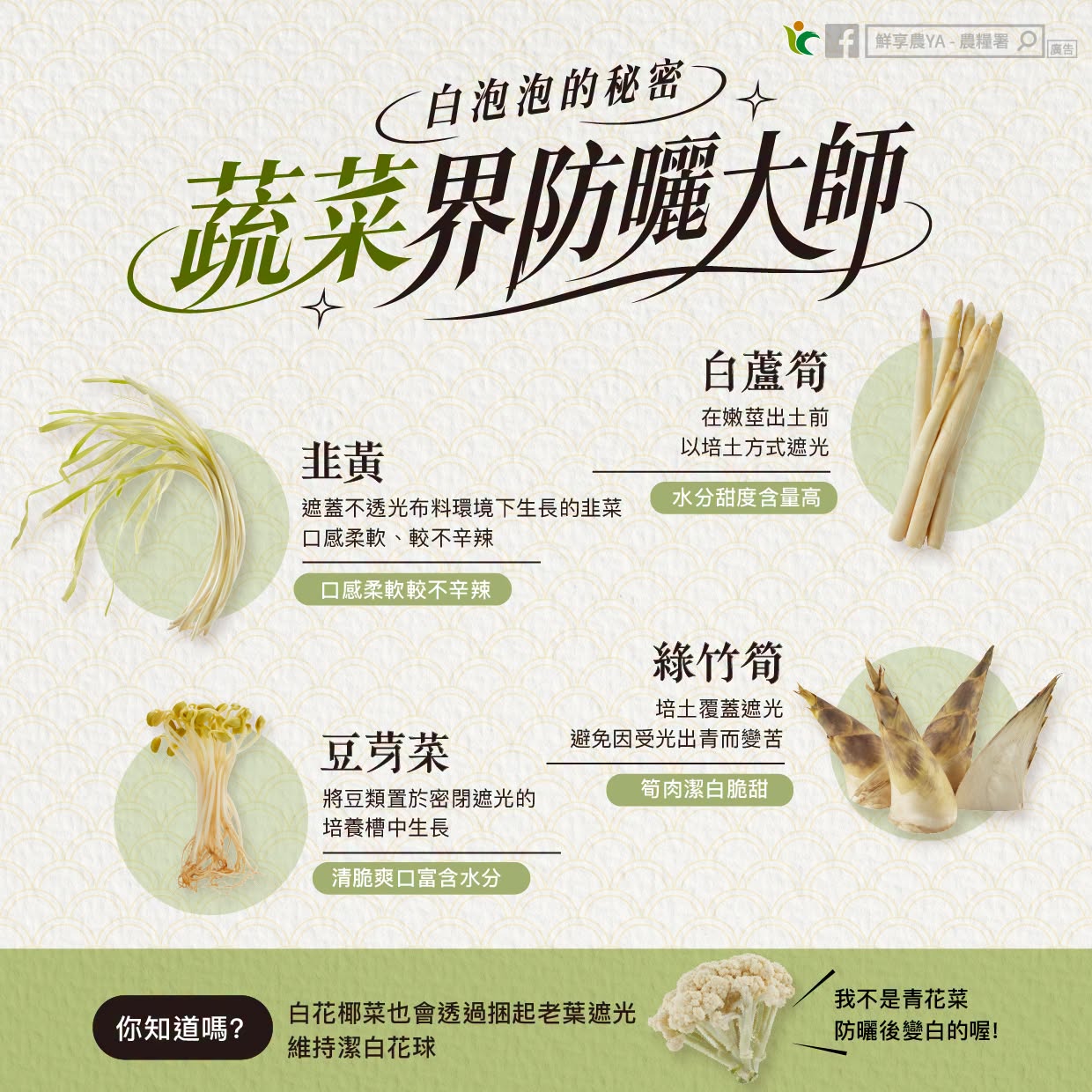 白泡泡的秘密 蔬菜界的防曬大師