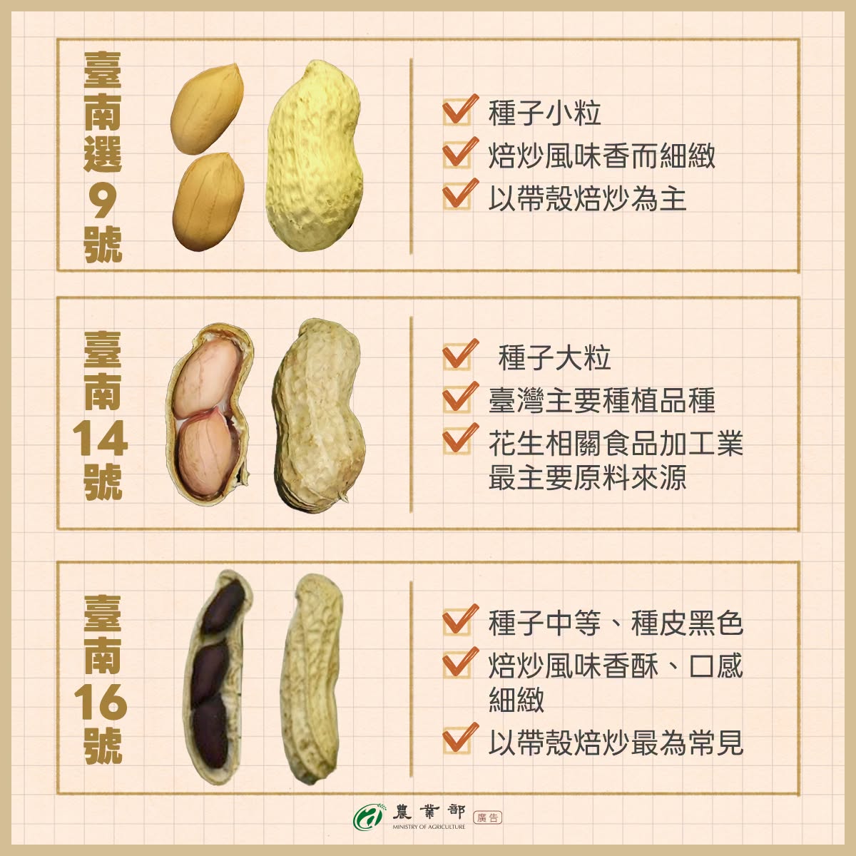 落花生家族集合2