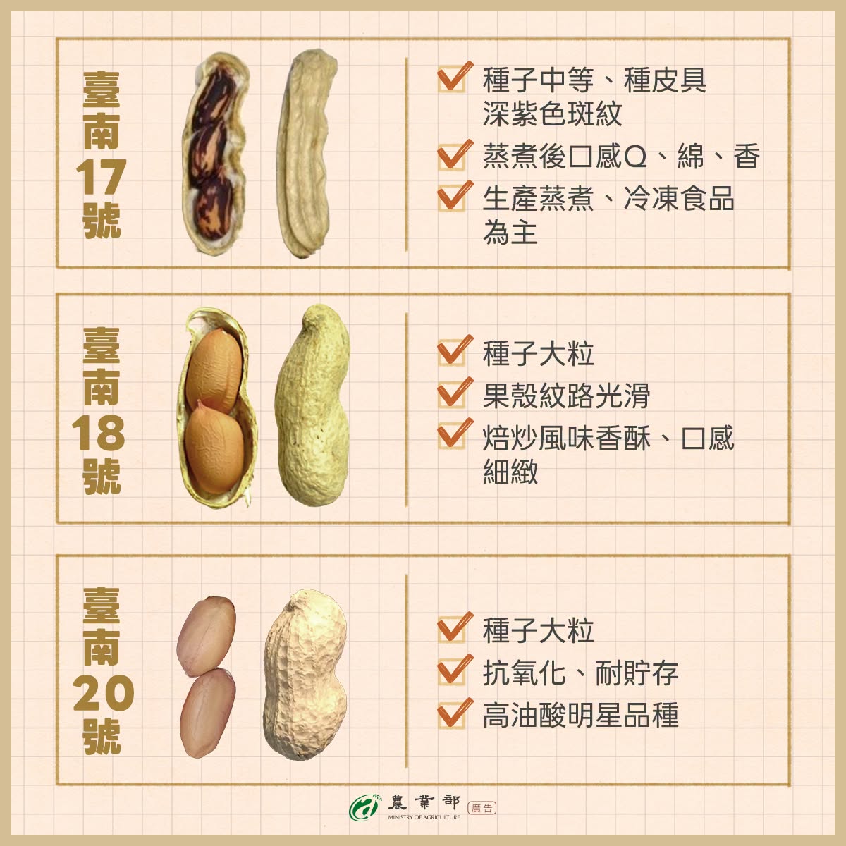 落花生家族集合3