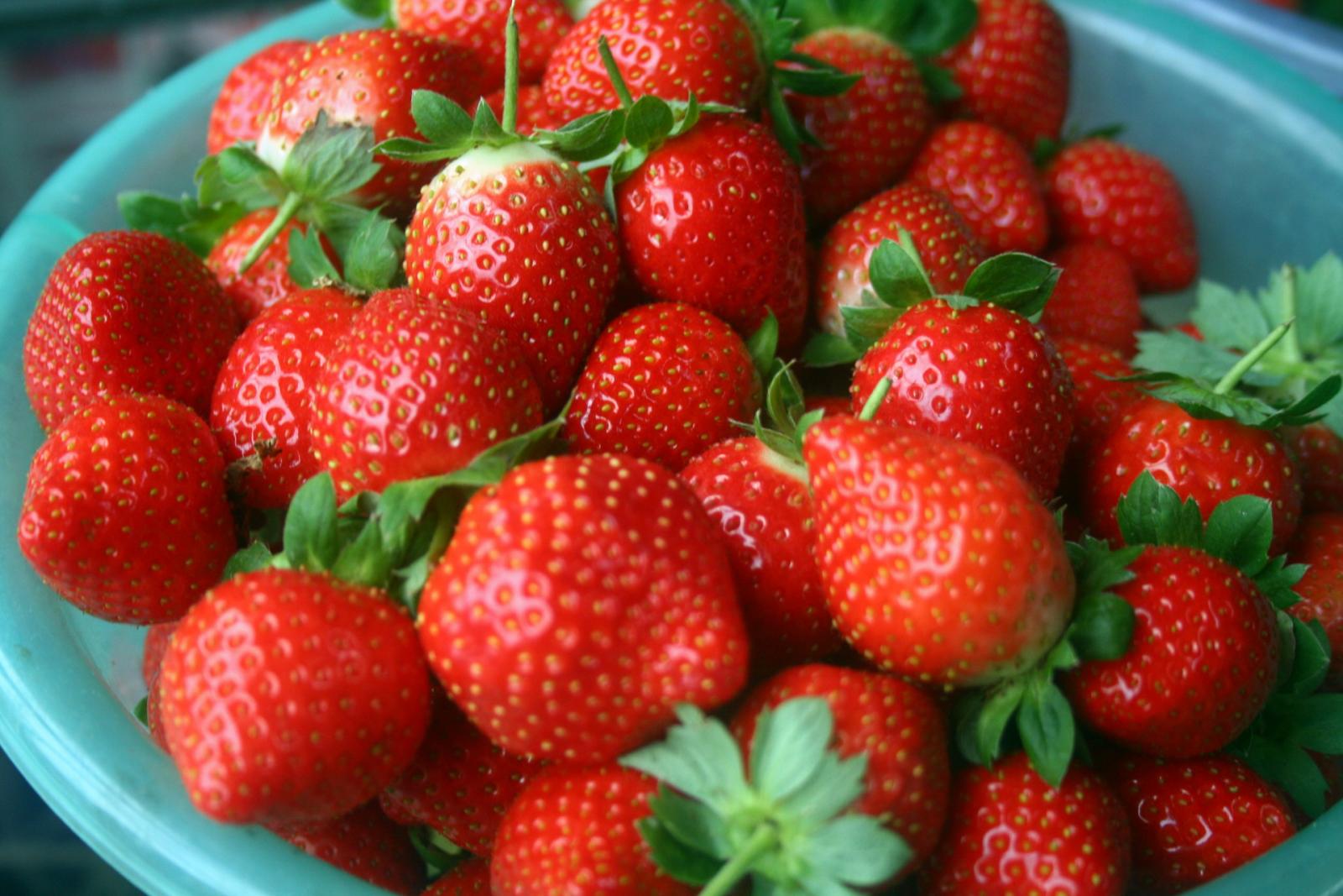 草莓果實