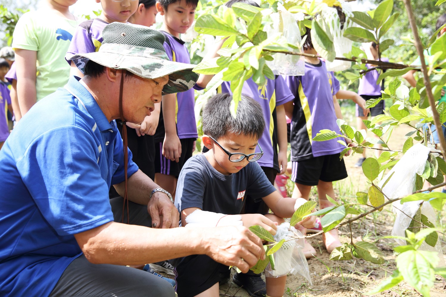 協會與學校建立長期的食農教育合作關係，指導學生種植在地作物