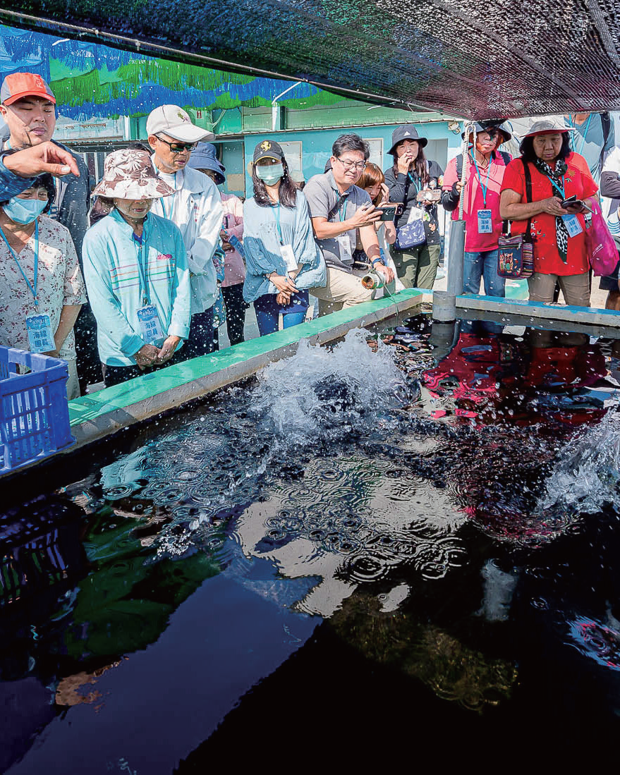 社區魚塭漁事體驗，讓參與者了解冷排水低碳養殖原理，進而 提升環境永續、地產地消等觀念。