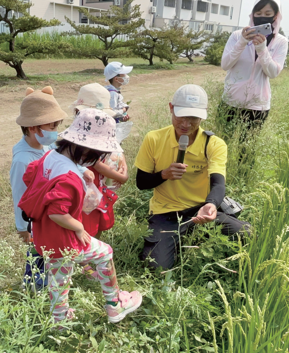幼兒園種植體驗