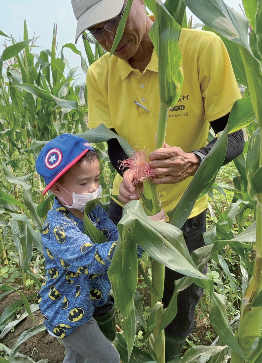 教小朋友認識玉米