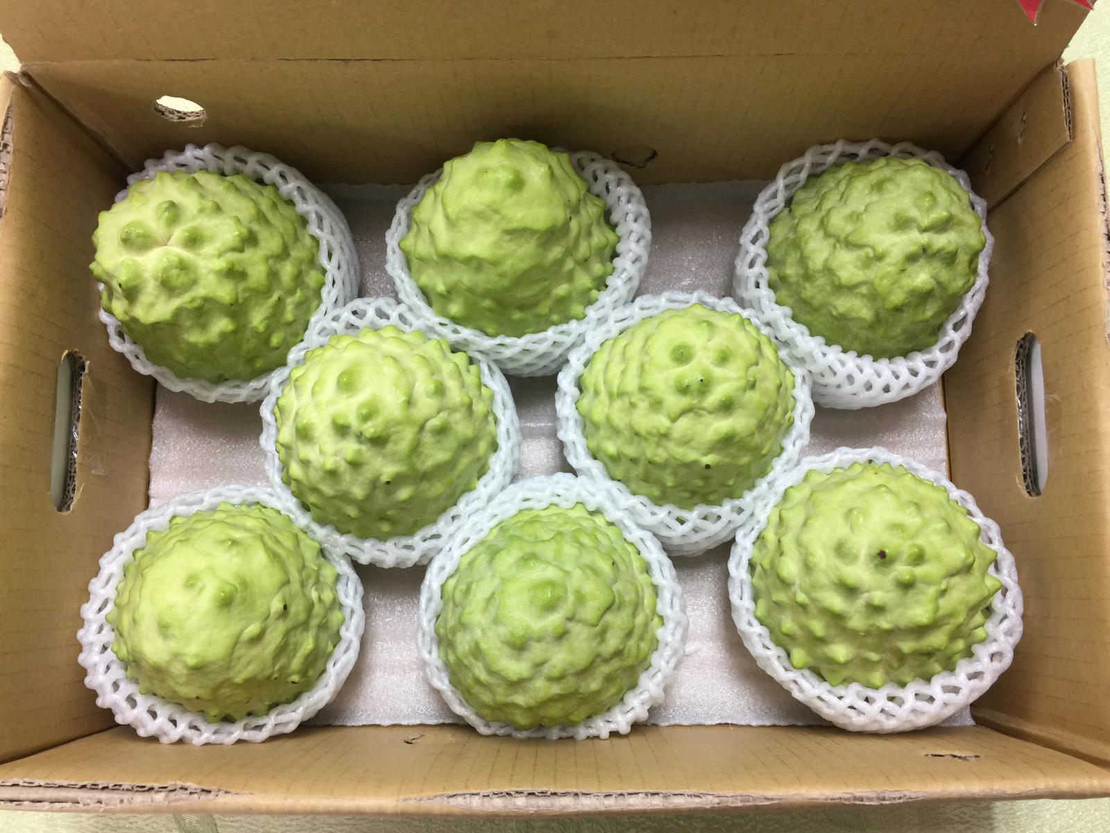 採收分級後的鳳梨釋迦