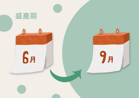 臺灣產期