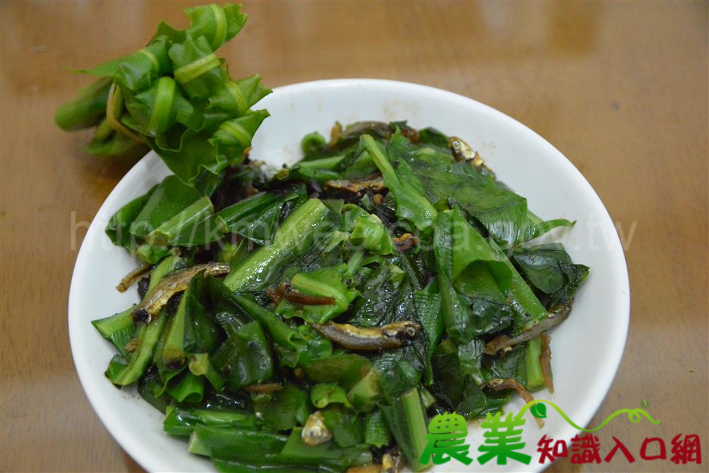 小魚乾炒山蘇