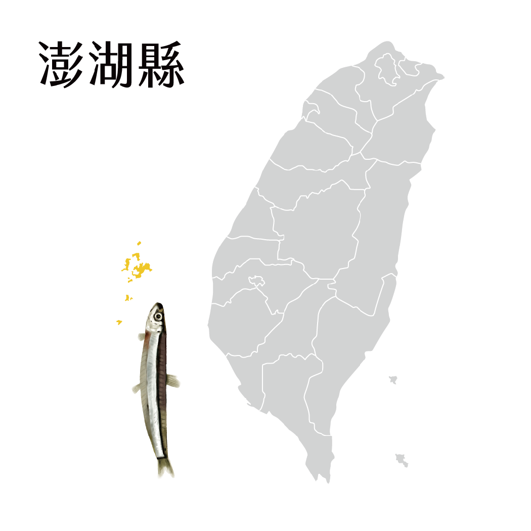 澎湖丁香魚