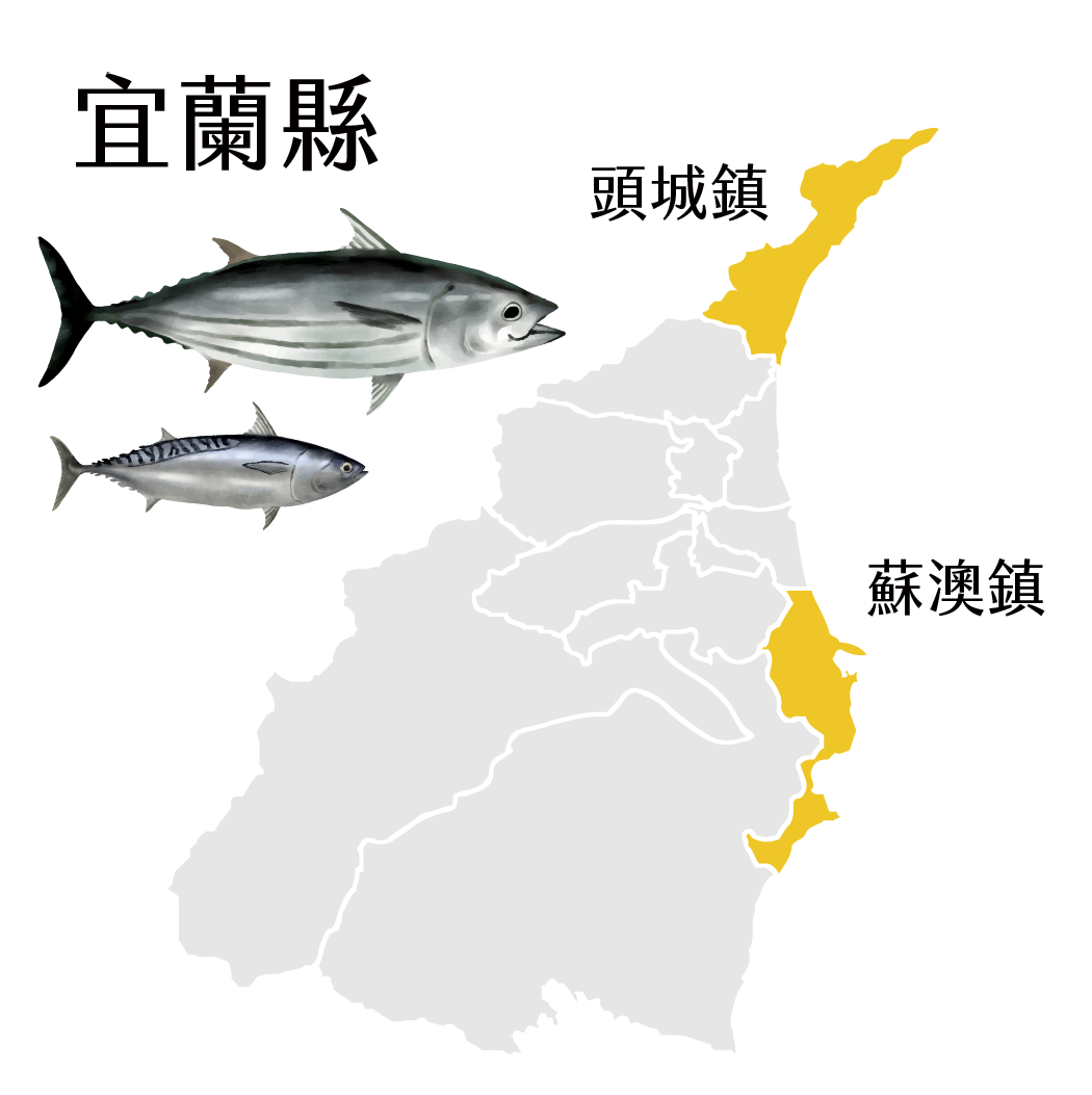 宜蘭鰹魚