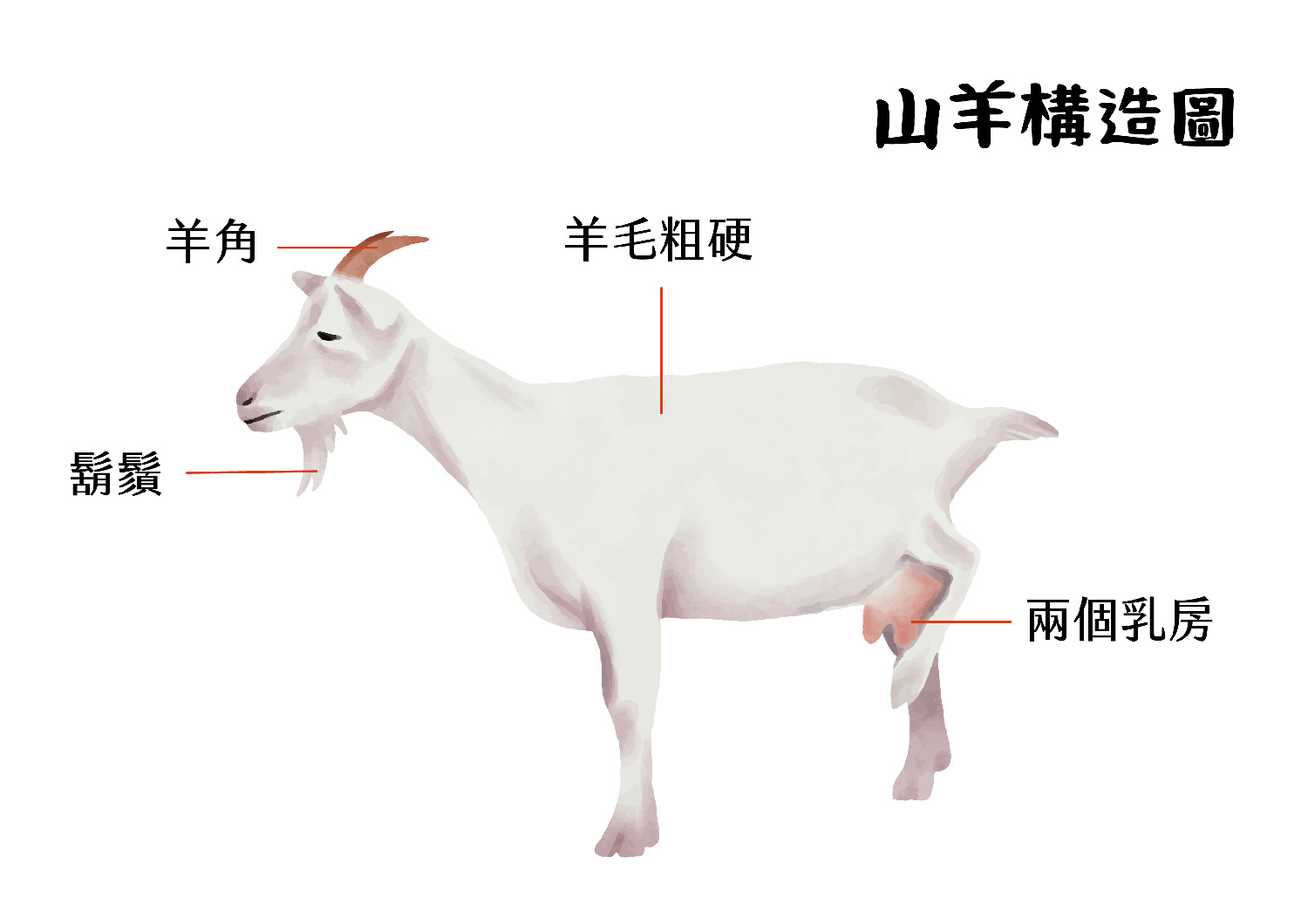 羊奶｜食農教育資訊整合平臺