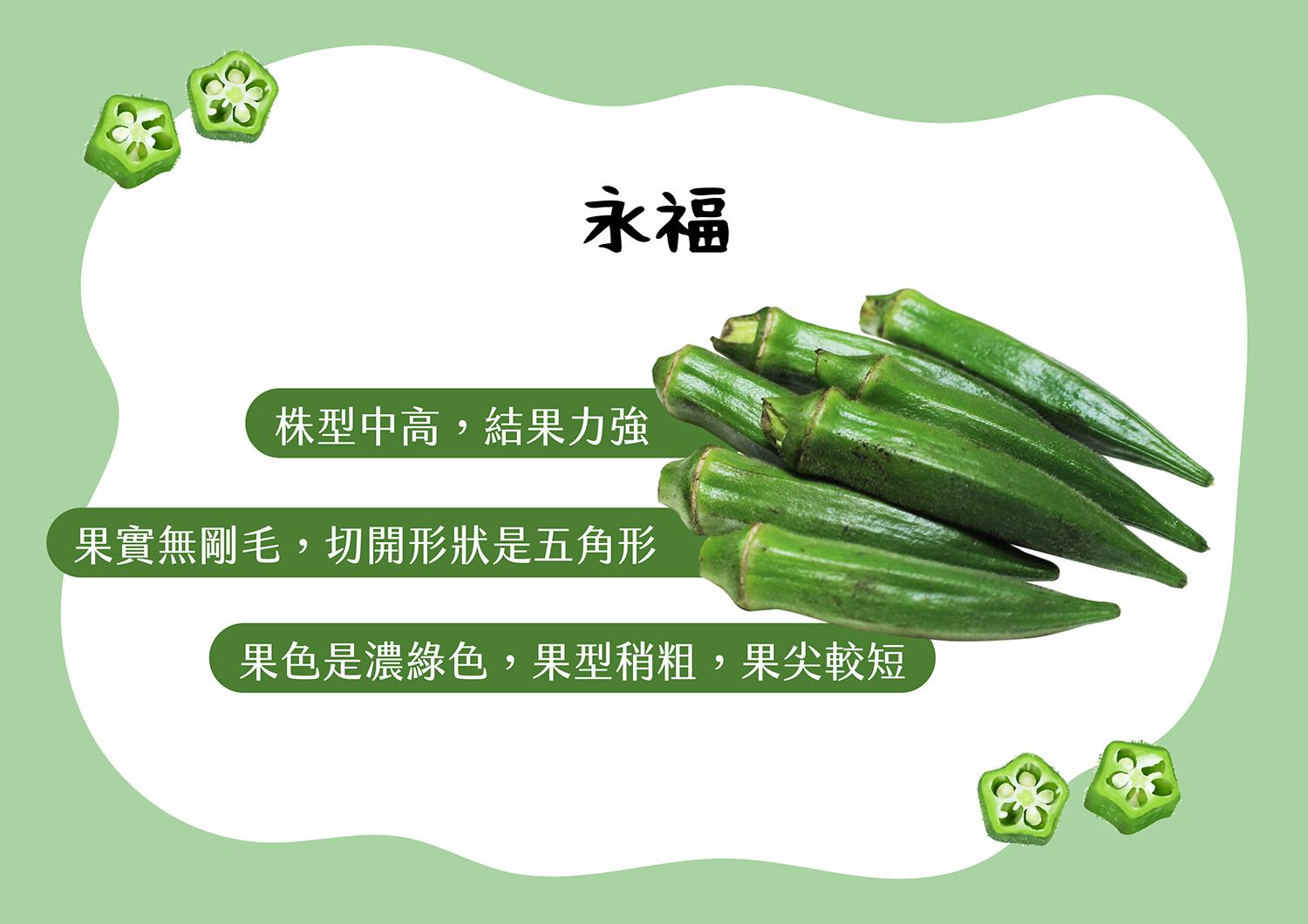 秋葵家族