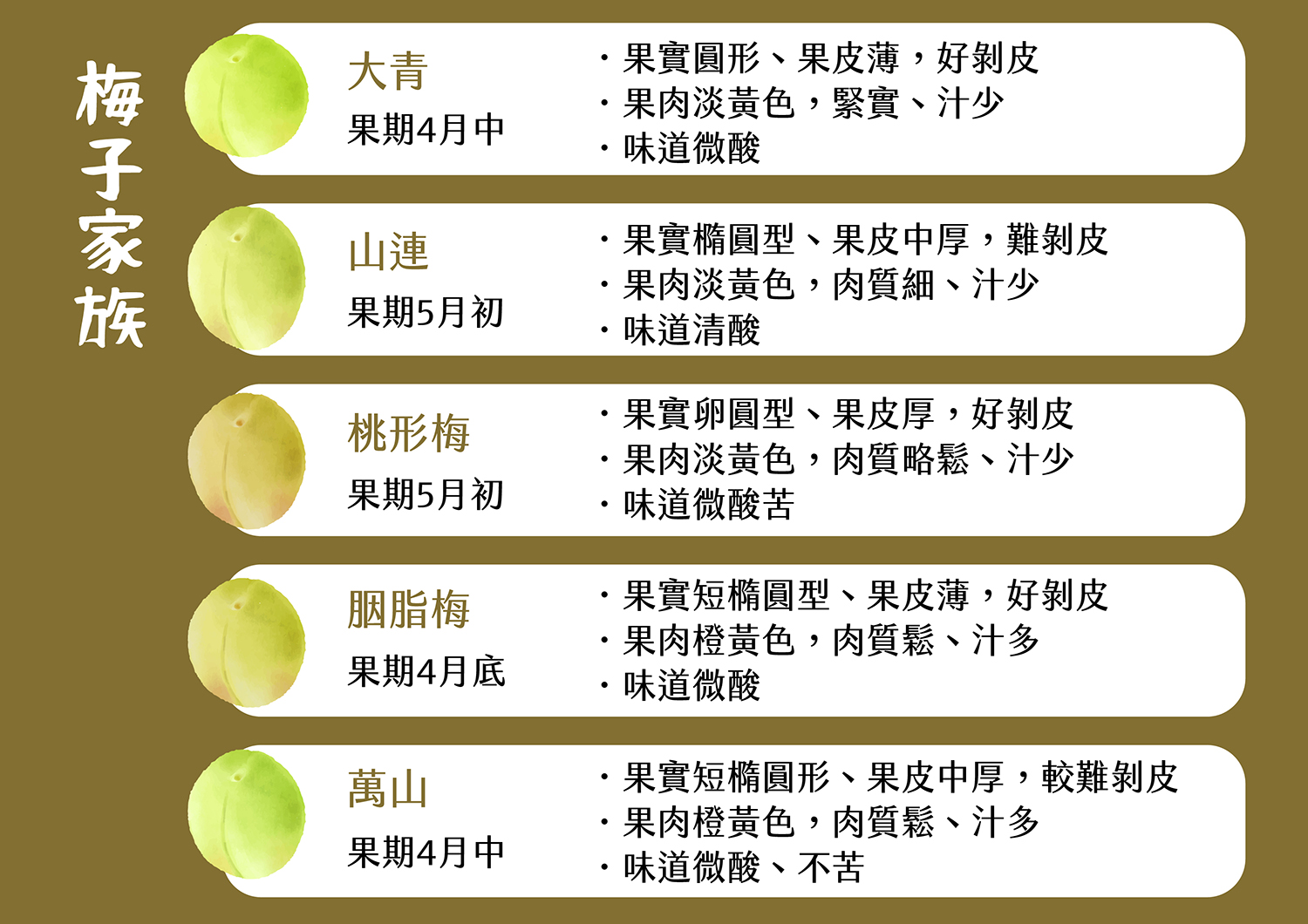 梅子家族