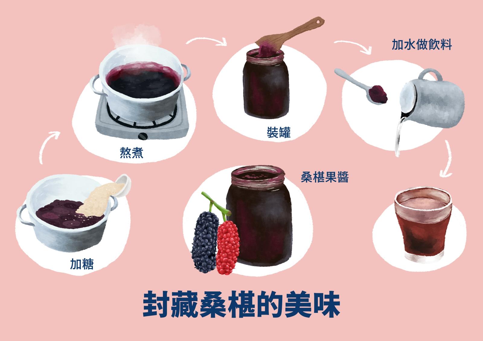 封藏桑椹的美味