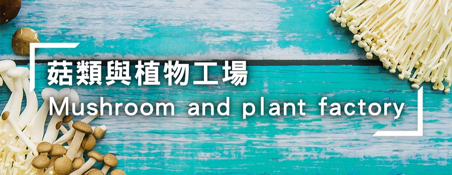 菇類與植物工廠