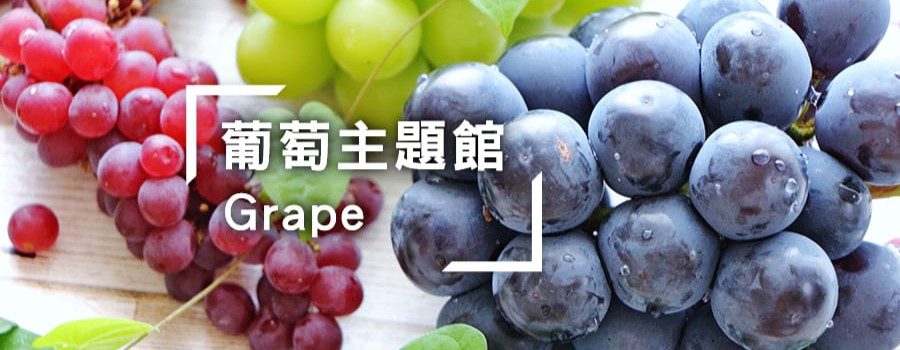 葡萄