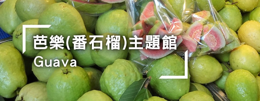 芭樂(番石榴)