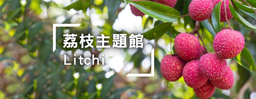 荔枝