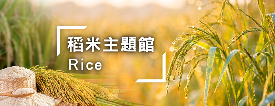 稻米