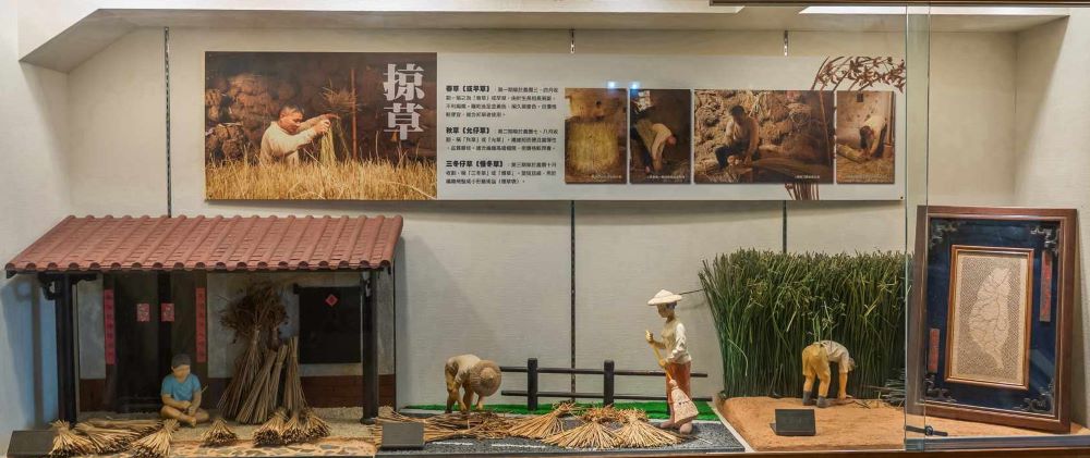 在藺草文化館中,可以一窺栽種過程、編織技藝。(苑裡農會提供)