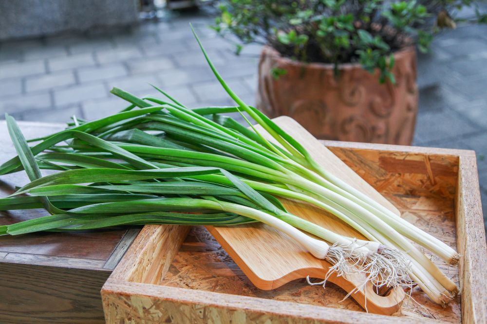 宜蘭三星的蔥、青蒜皆負盛名。尤其青蔥蔥白特別纖長,長達15公分左右。