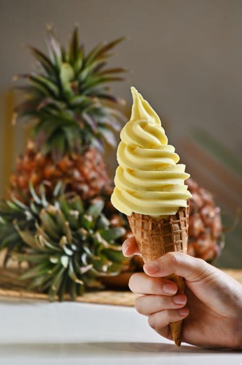 臺南後壁在地、季節限定的「快閃霜淇淋」。