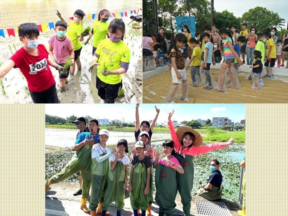 歸仁豐富的農特產延伸出各種食農體驗活動，如學水稻插秧、採菱角等。 (歸仁區農會提供)