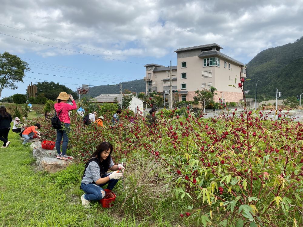 透過農業旅遊，可以讓更多人看見臺東之美以及豐饒的物產。(臺東縣農會提供)
