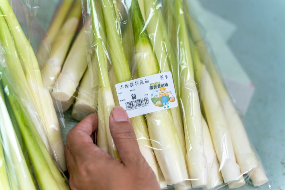 三芝栽培的茭白筍,吃起來又甜又嫩,廣受市場青睞。